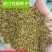 进口紫花苜蓿草种子多年生苜蓿草种籽四季牧草鸡鸭鹅牛羊鱼草