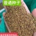 进口紫花苜蓿草种子多年生苜蓿草种籽四季牧草鸡鸭鹅牛羊鱼草