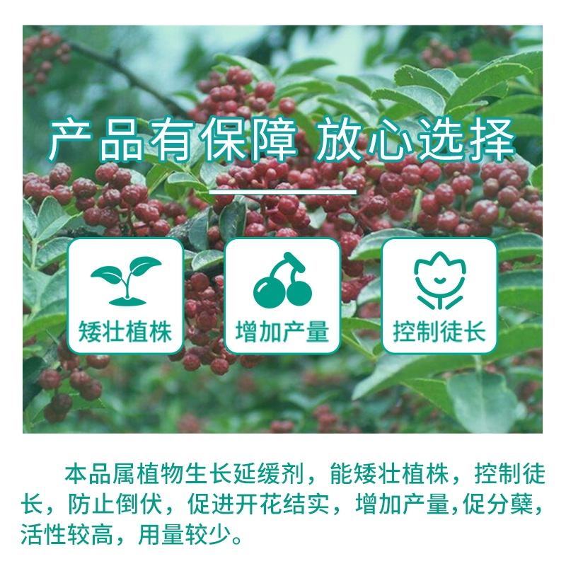 国光5%烯效唑花生大豆红薯花椒控旺膨大矮壮调节生长