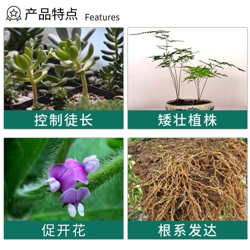 国光5%烯效唑花生大豆红薯花椒控旺膨大矮壮调节生长
