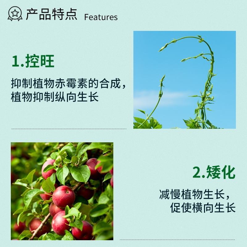 国光15%多效唑花卉果树矮壮素控旺剂生长调节剂农药