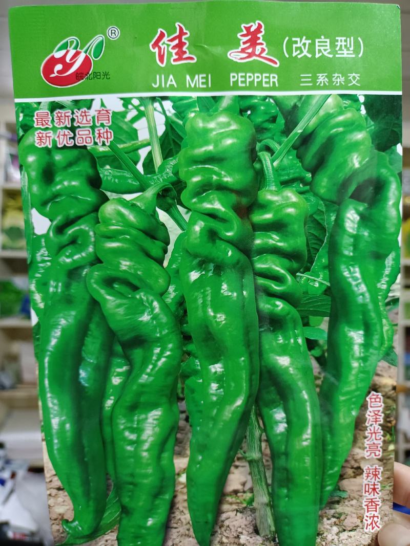 【螺丝椒】佳美改良型三系杂交品种辣味香浓高产优质种子