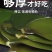 （包邮）新鲜5斤海带头盐渍海鲜厚片肉厚饱满美味可口盐少