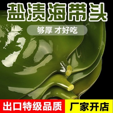 （包邮）新鲜5斤海带头盐渍海鲜厚片肉厚饱满美味可口盐少