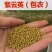 紫云英种子红花草籽种四季果园绿肥种籽蜜源紫云英草种牧草种