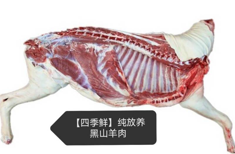 黑山羊白条羊酮体0注水0加工一手货源纯黑小耳