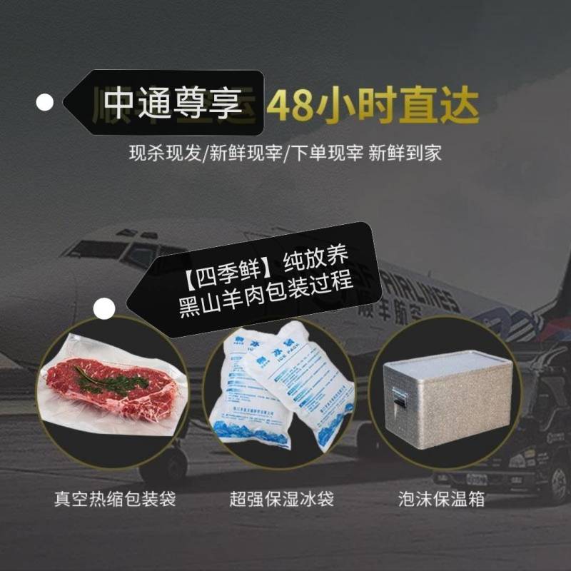 黑山羊白条羊酮体0注水0加工一手货源纯黑小耳