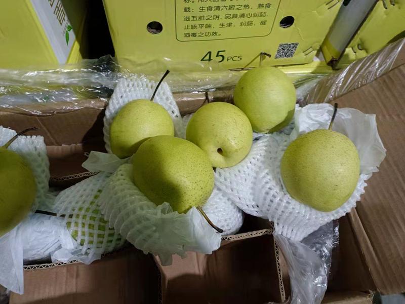 河北雪花梨基地货源充足发往全国各地水果市场超市！保质量！