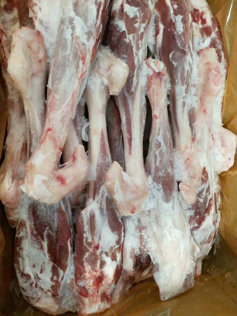 羊前腱，羔羊前腿腱，一件代发，量大从优，感兴趣欢迎光临！