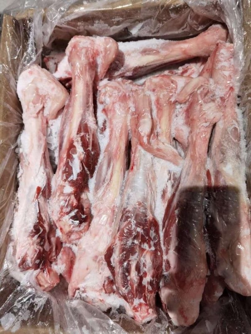 羊前腱，羔羊前腿腱，一件代发，量大从优，感兴趣欢迎光临！