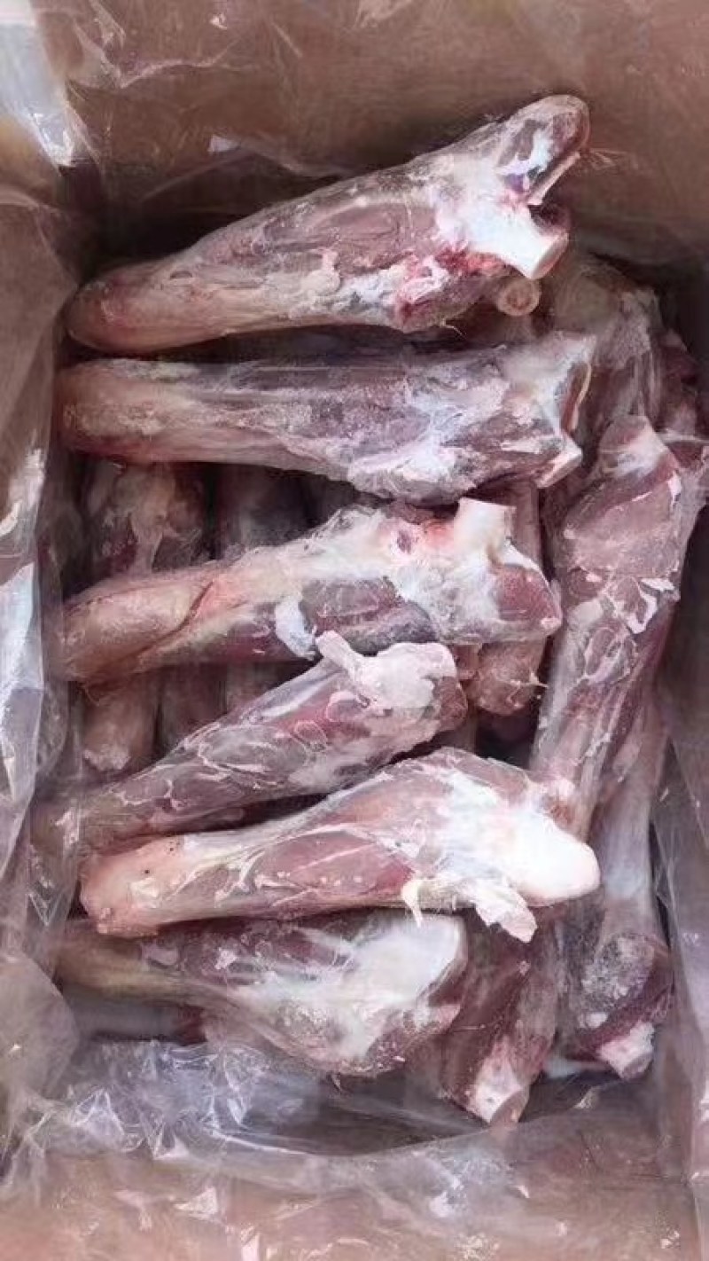 羊前腱，羔羊前腿腱，一件代发，量大从优，感兴趣欢迎光临！