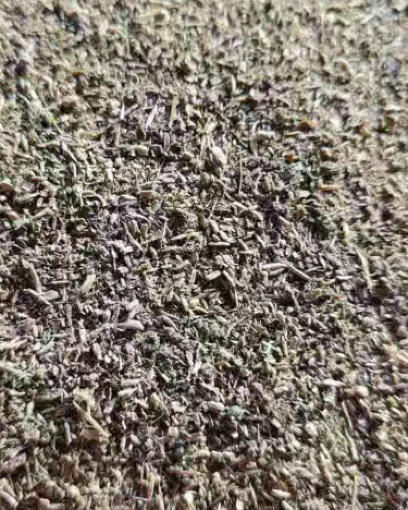 干木薯酒渣，养殖饲料用更方便，干渣更易保存