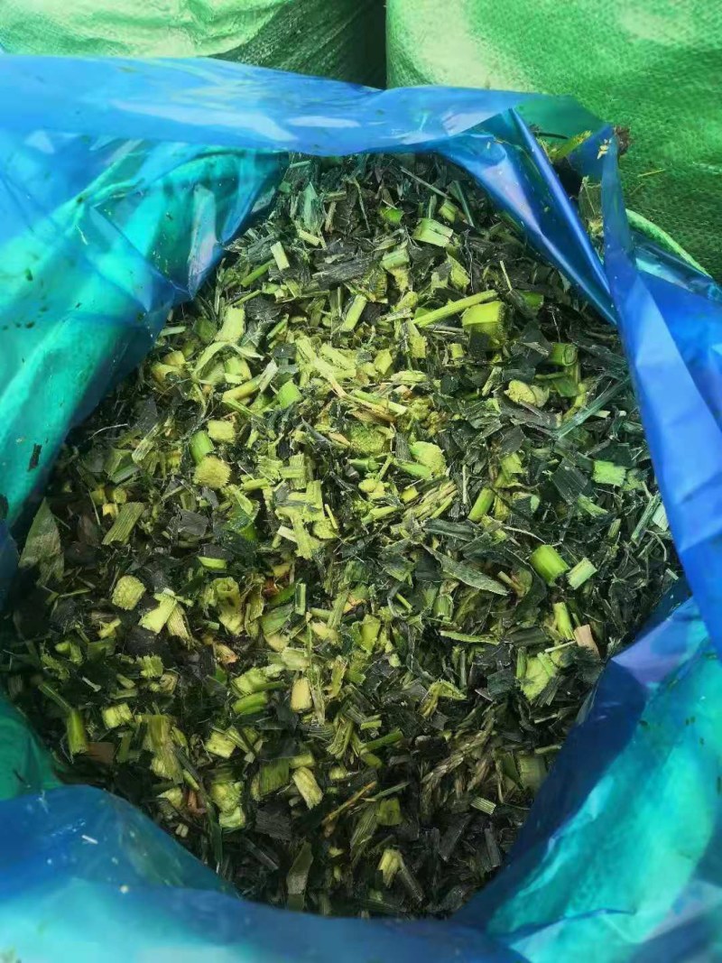 青储靓货