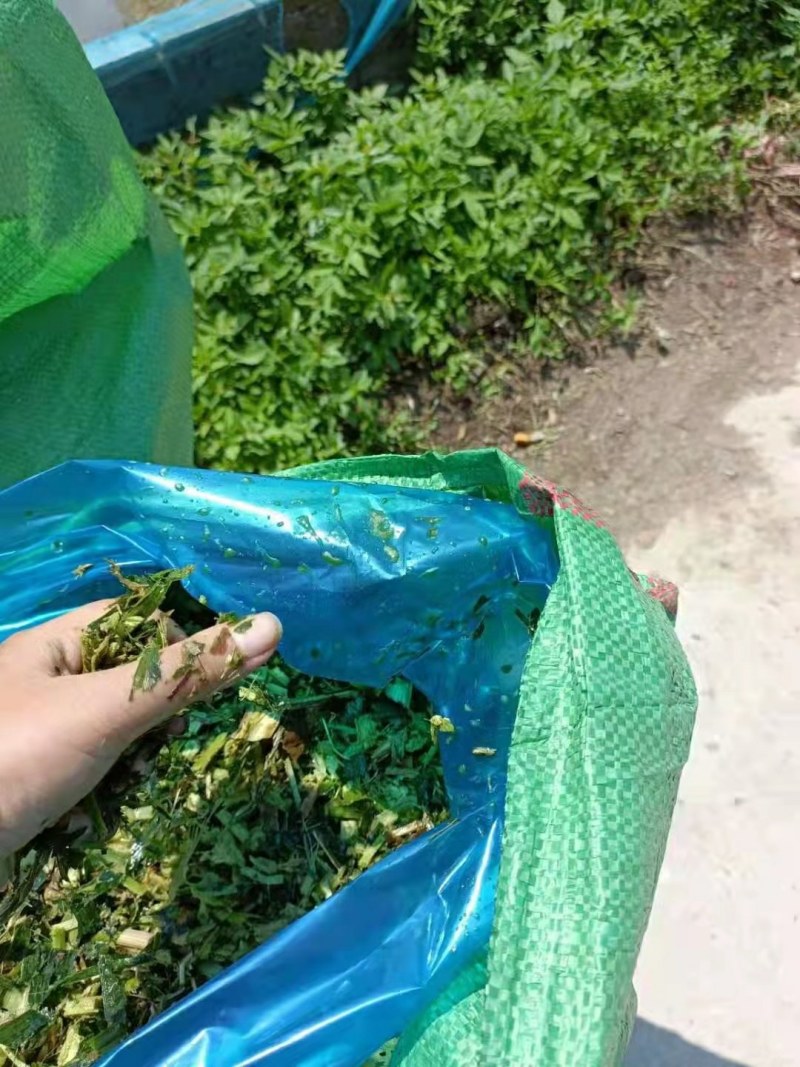 青储靓货