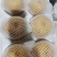 莱西秋月梨，果子皮薄，甜脆汁多，无渣，欢迎下单咨询发货