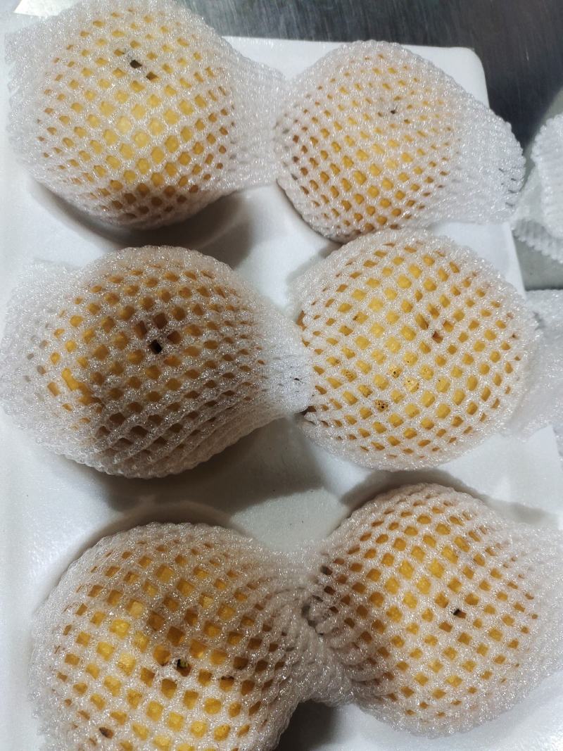 莱西秋月梨，果子皮薄，甜脆汁多，无渣，欢迎下单咨询发货