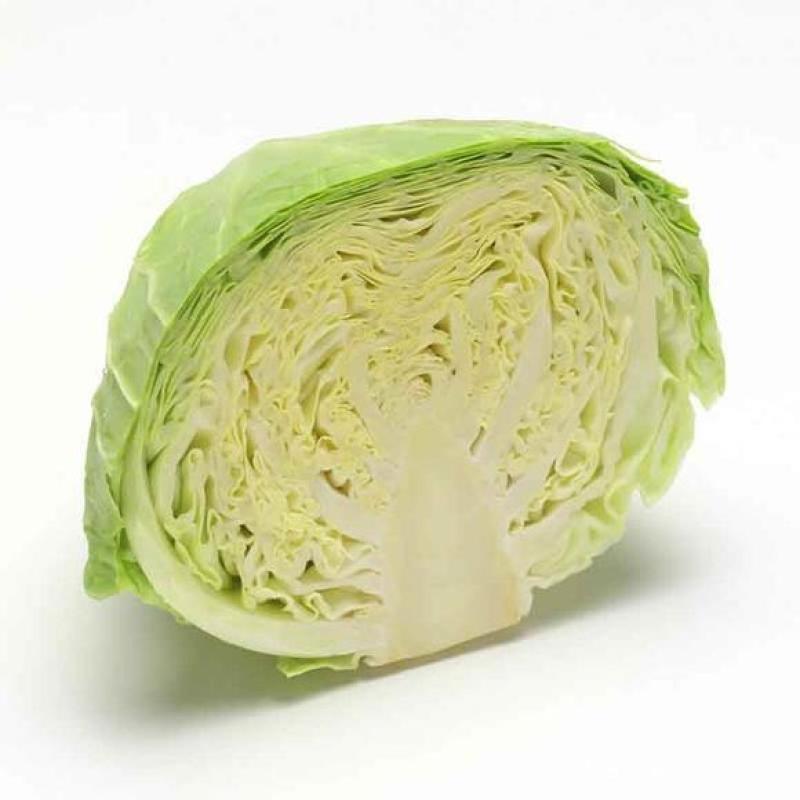 甘肃优质圆包菜基地直供货源充足诚信合作欢迎采购