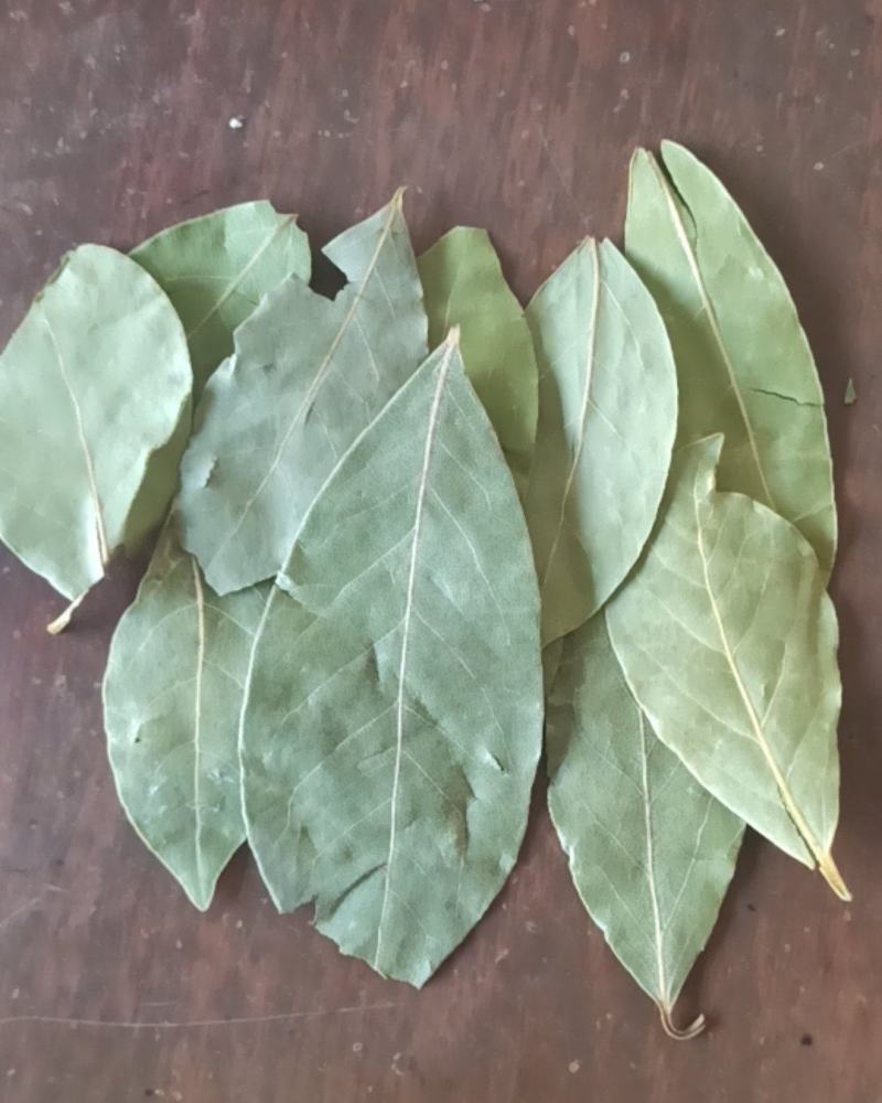 香叶精品香叶批发香叶色青味浓量大从优质量保证