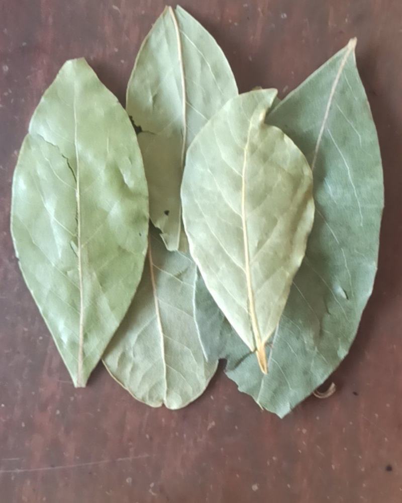 香叶精品香叶批发香叶色青味浓量大从优质量保证