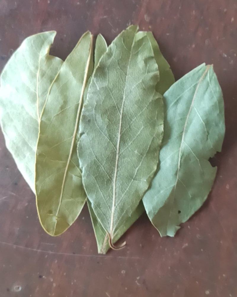 香叶精品香叶批发香叶色青味浓量大从优质量保证