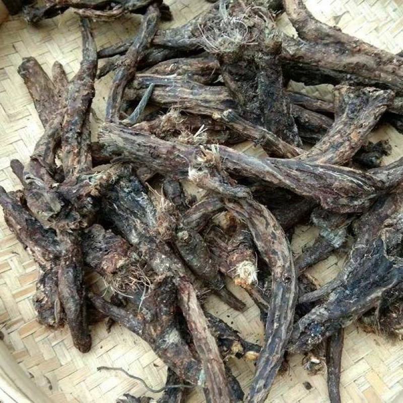 虎掌草干货中药材量大从优欢迎选购！