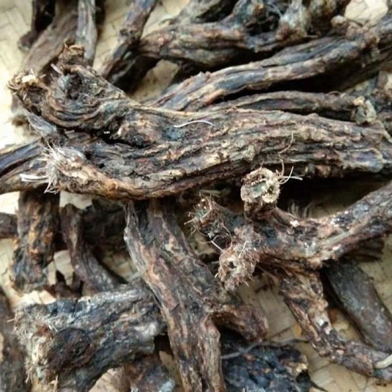 虎掌草干货中药材量大从优欢迎选购！