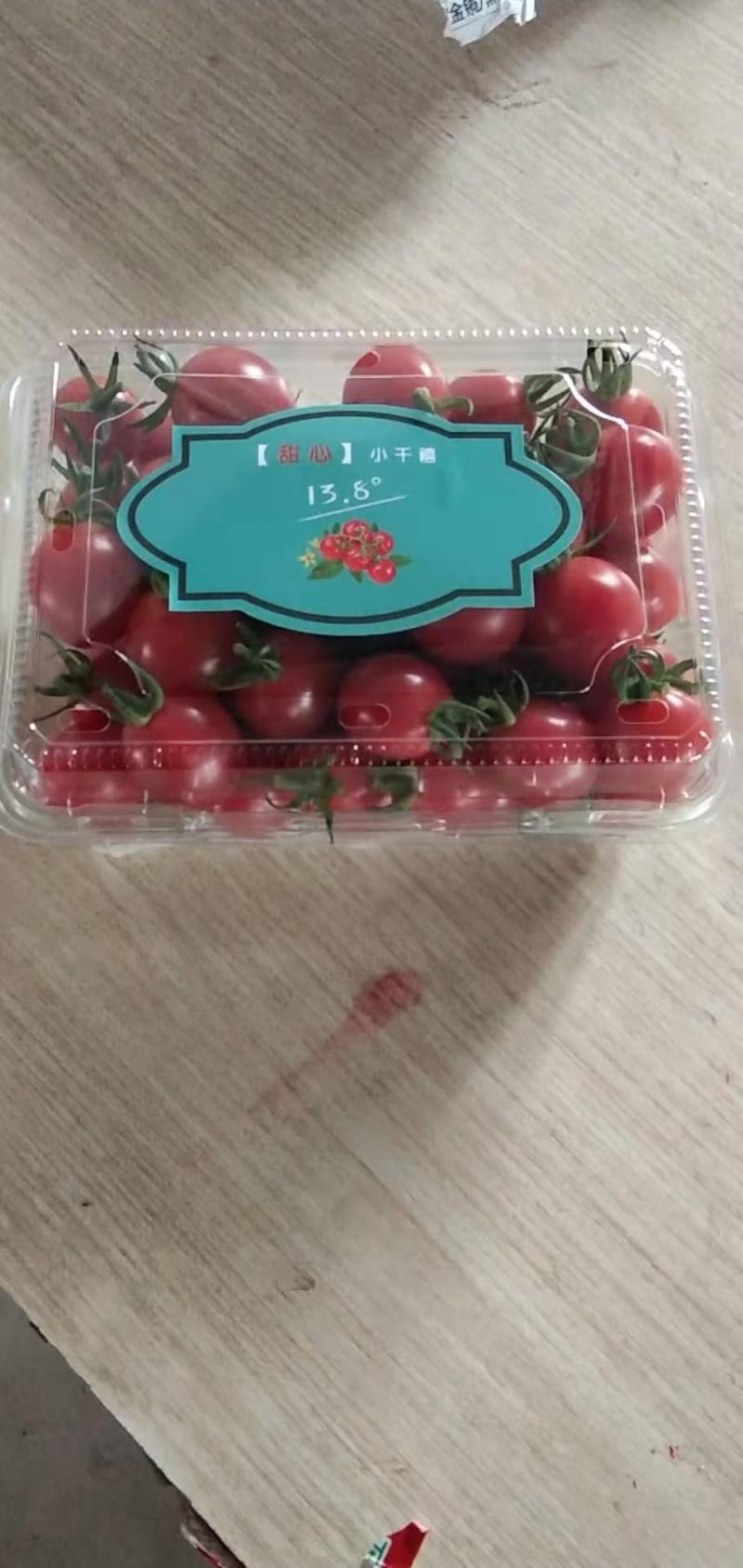 广东电白老千禧圣女果一原产地社区团购，电商，超市一件代发