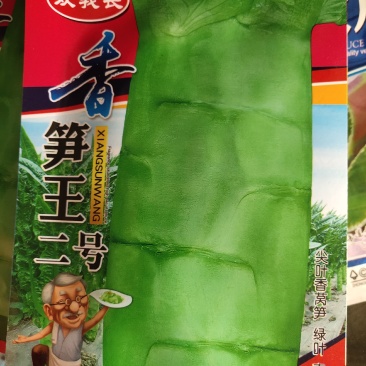 香笋王二号，莴笋种子。叶片呈青尖叶，抗寒耐寒性强，