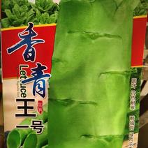 香青王一号莴笋种子，圆叶。抗热耐寒，耐抽苔，青绿色