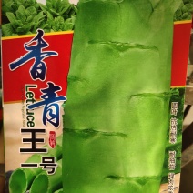 香青王一号莴笋种子，圆叶。抗热耐寒，耐抽苔，青绿色