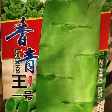 香青王一号莴笋种子，圆叶。抗热耐寒，耐抽苔，青绿色