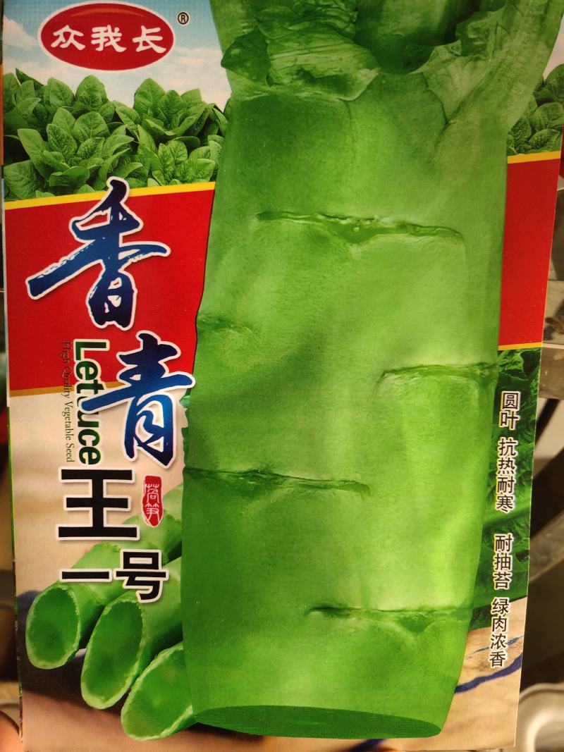 香青王一号莴笋种子，圆叶。抗热耐寒，耐抽苔，青绿色