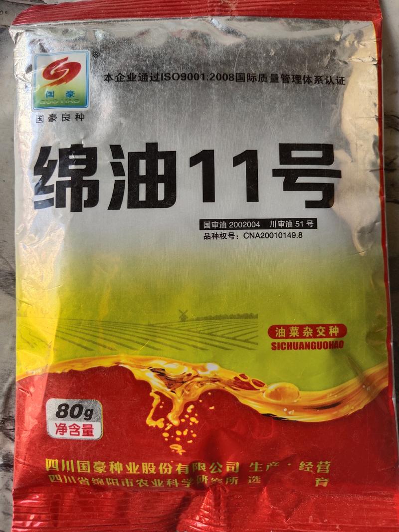 棉油11号油菜种子杂交品种，甘蓝型中早熟43%