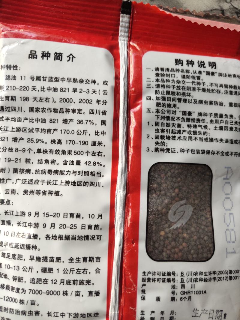 棉油11号油菜种子杂交品种，甘蓝型中早熟43%