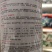 胡萝卜种子。杂交品种。新品种，柱心细