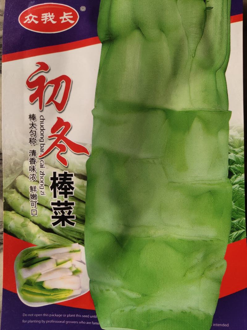 棒菜，人工单株远育而成棒大根皮青白色亩产2500斤左右。