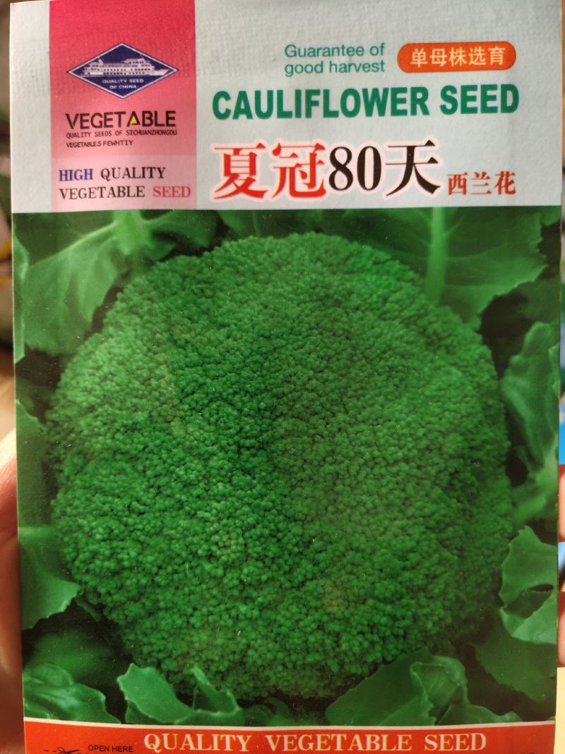 西蓝花，中熟，耐寒。抗病，厚实，，单球300克左右