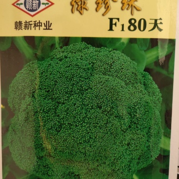 西蓝花种子，杂交品种采收80天左右叶片灰绿色单球700克