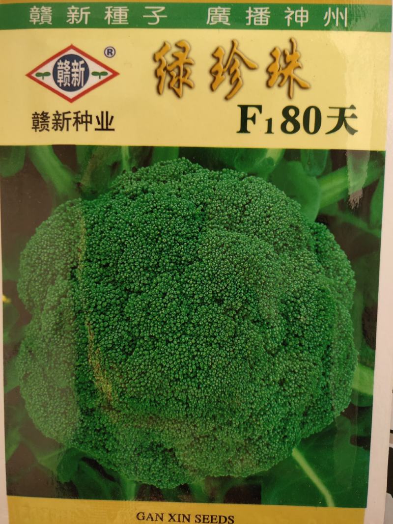 西蓝花种子，杂交品种采收80天左右叶片灰绿色单球700克
