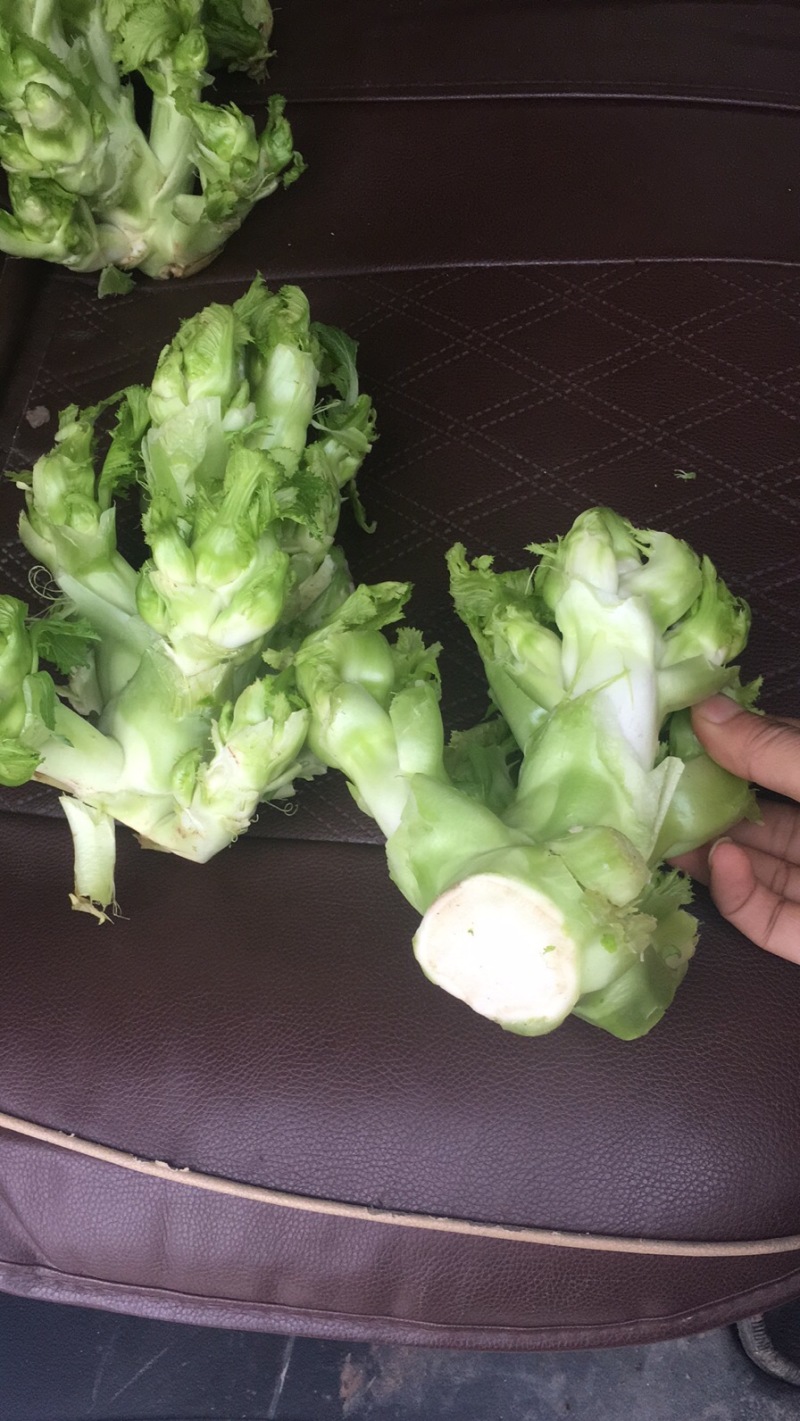 儿菜基地货大量上市