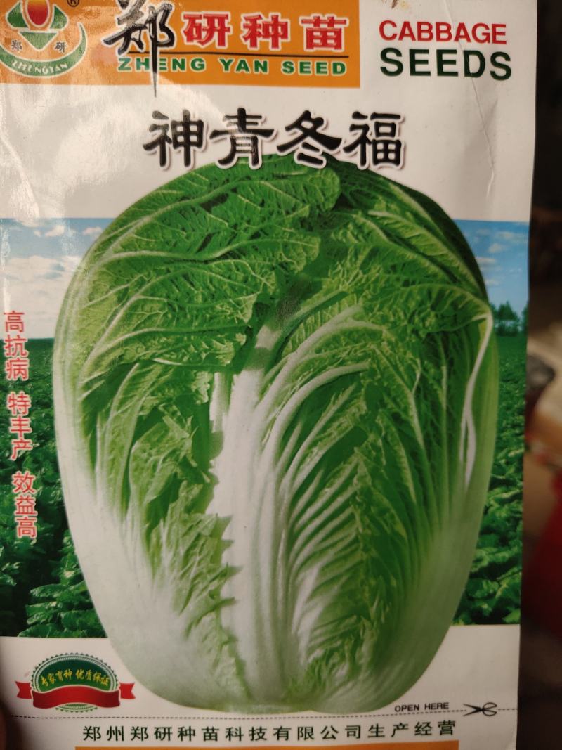 神青东福，高抗病，特丰产，全生育期80-85天