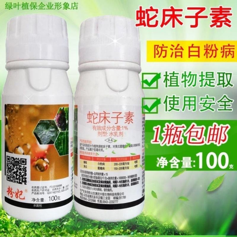 粉妃1%蛇床子素植物源提取黄瓜霜霉病葡萄草莓白粉病叶枯病