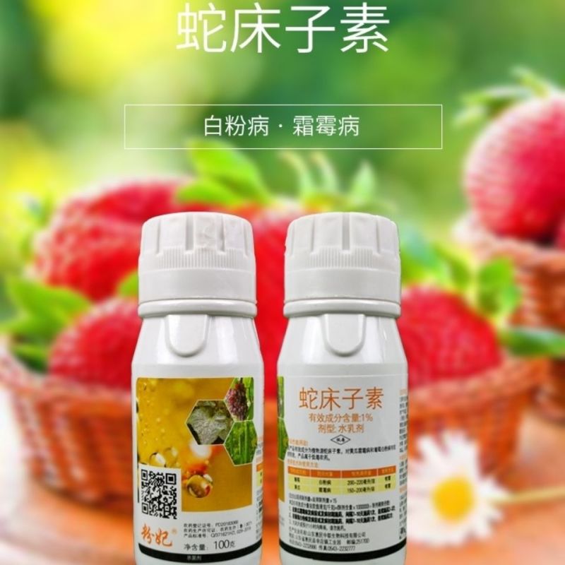 粉妃1%蛇床子素植物源提取黄瓜霜霉病葡萄草莓白粉病叶枯病