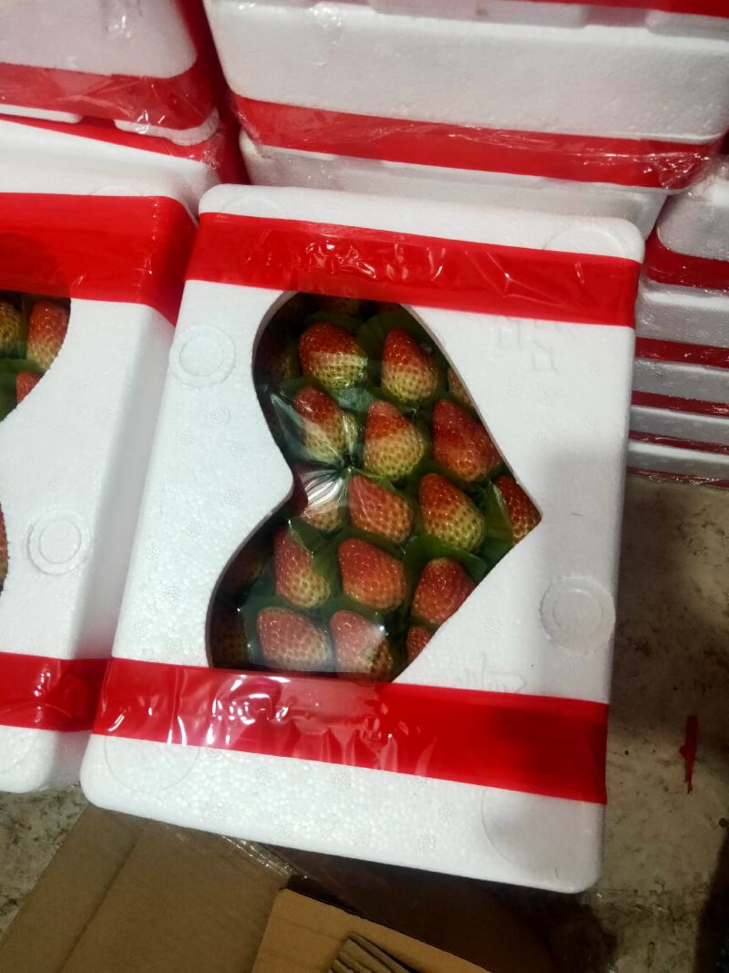 长丰红颜草莓承接电商，商超货量充足大量无忧