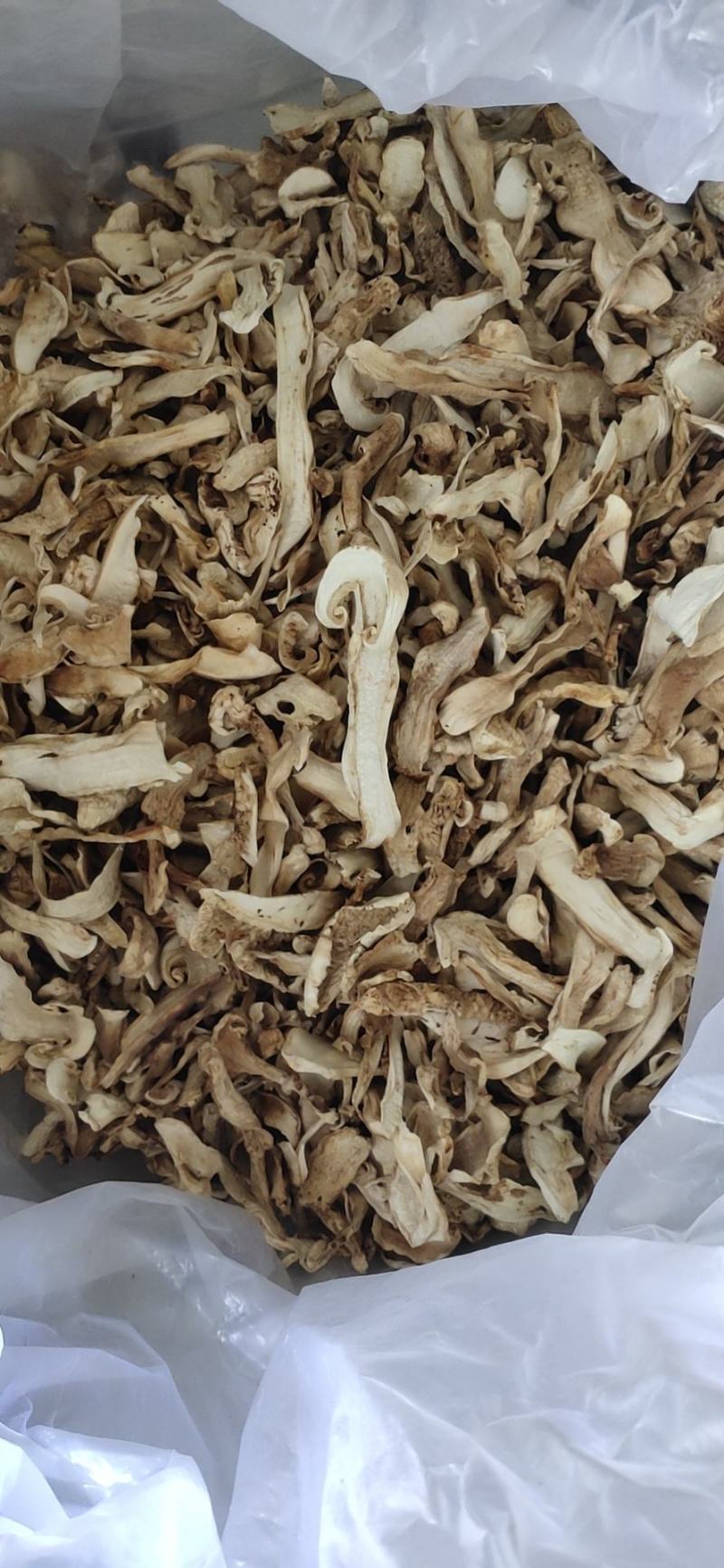 长白山野生松茸干片自然晒干无添加2021年新货