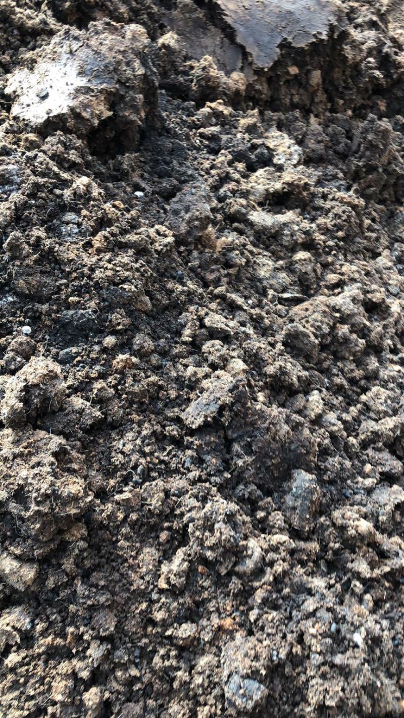 羊粪纯羊粪畜禽粪便纯羊粪有机肥基地直发羊养殖基