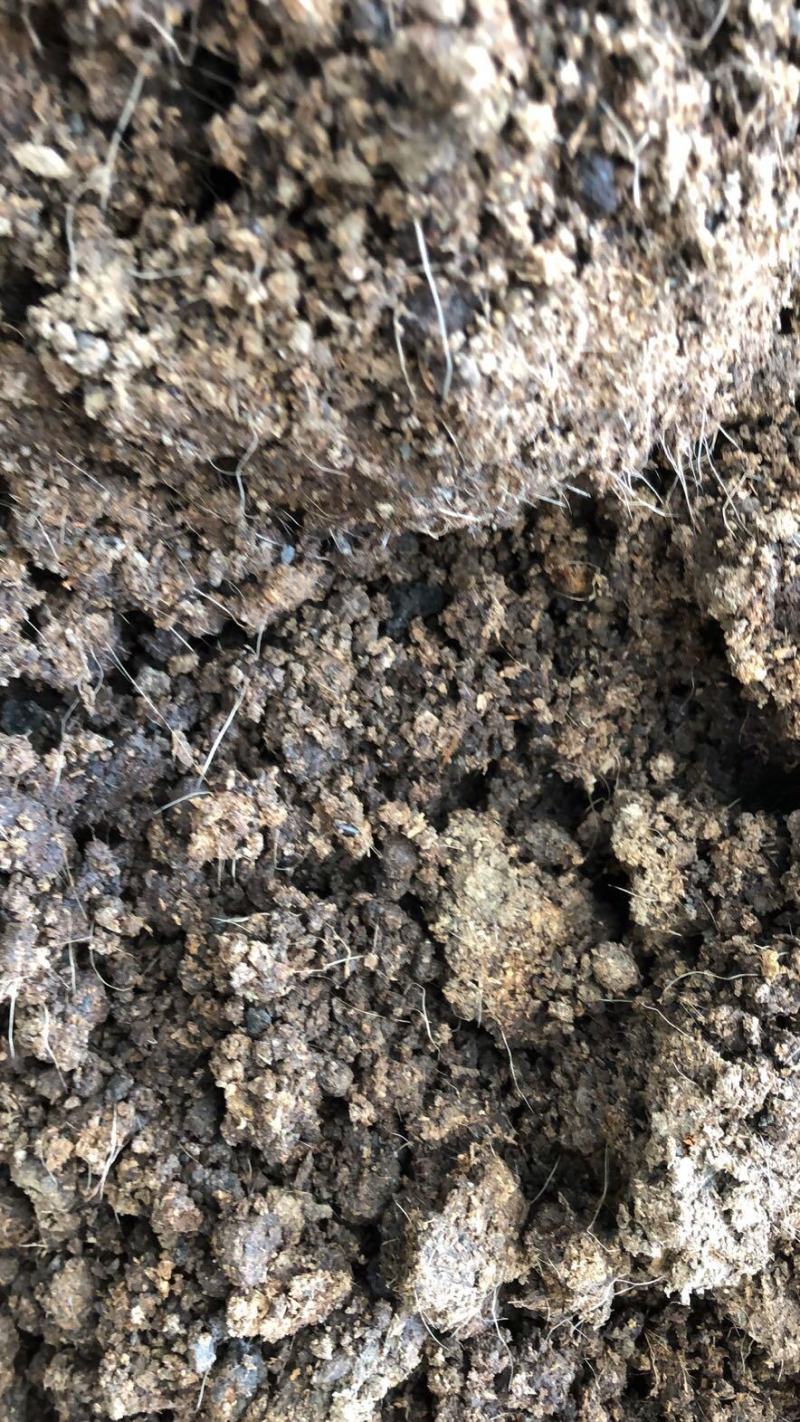 羊粪纯羊粪畜禽粪便纯羊粪有机肥基地直发羊养殖基