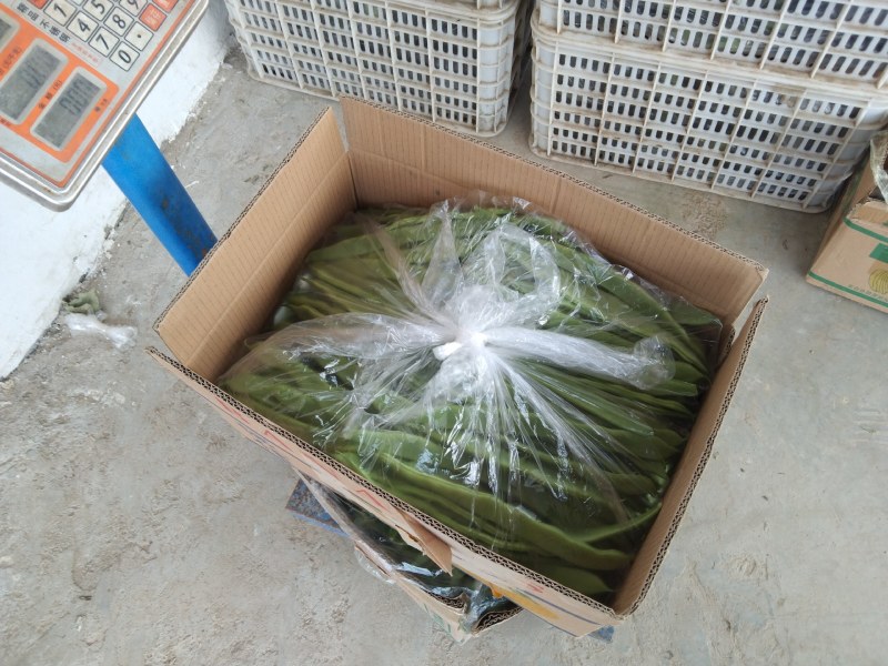 邳州精品烧烤茄大量有货需要的老板联系货源充足质量好