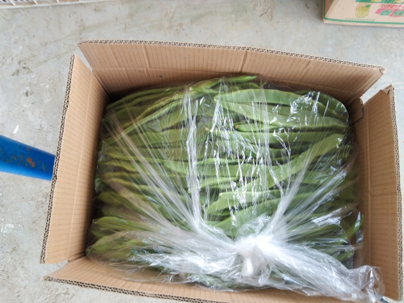 邳州精品烧烤茄大量有货需要的老板联系货源充足质量好