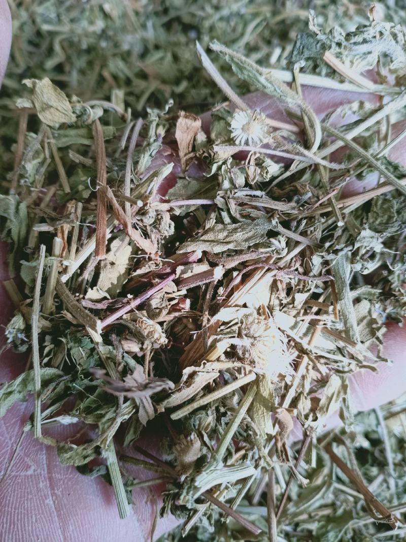 灯盏细辛，灯盏花正品野生供应，经营各种中药材欢迎咨询选购